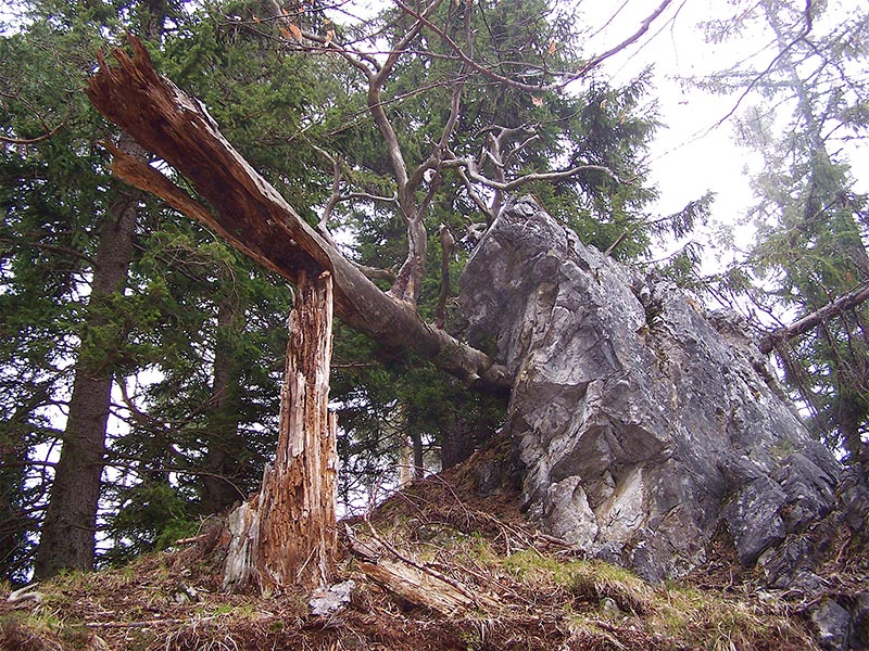 Heidenstein